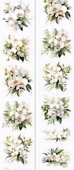 FRAGRANT FLOWER SHOP - White Phalaenopsis Floral PET Tape Roll